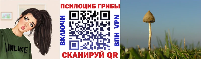 Купить где  Шиханы  Галлюциногенные грибы MAGIC MUSHROOMS 